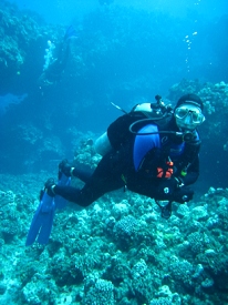 Diving around Maui